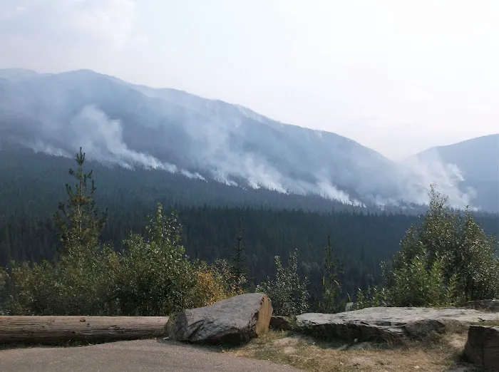 Loop Brook Campground 8