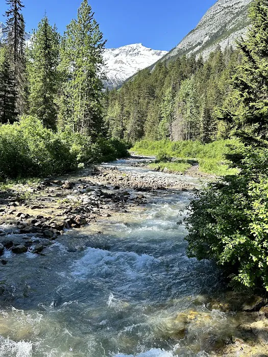 Loop Brook Campground 5