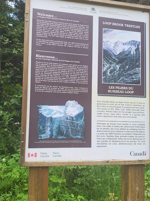 Loop Brook Campground 3