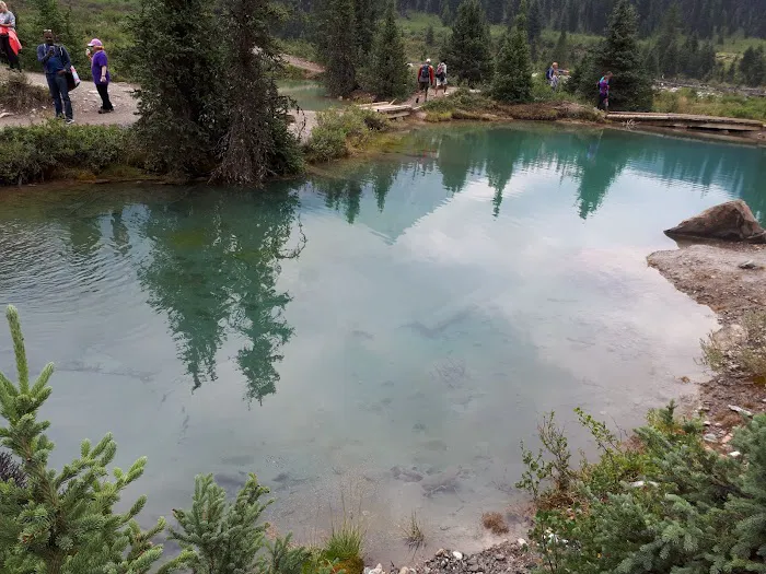 Johnston Canyon Campground 3
