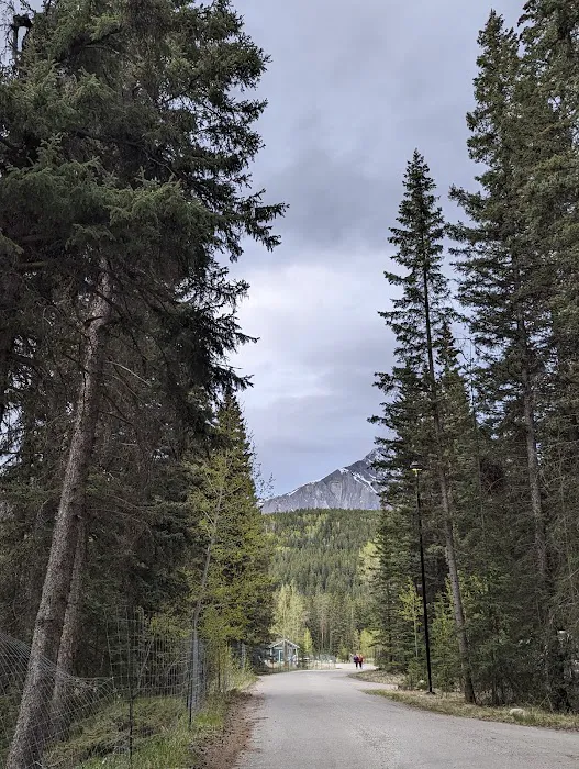 Johnston Canyon Campground 5