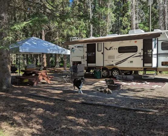 Johnston Canyon Campground