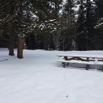 Waiparous Group Campground