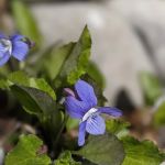 Eau Claire Campground