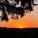 Nanton Lion's Campground