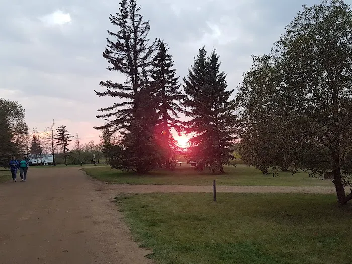 Black Nugget Lake Campground 4