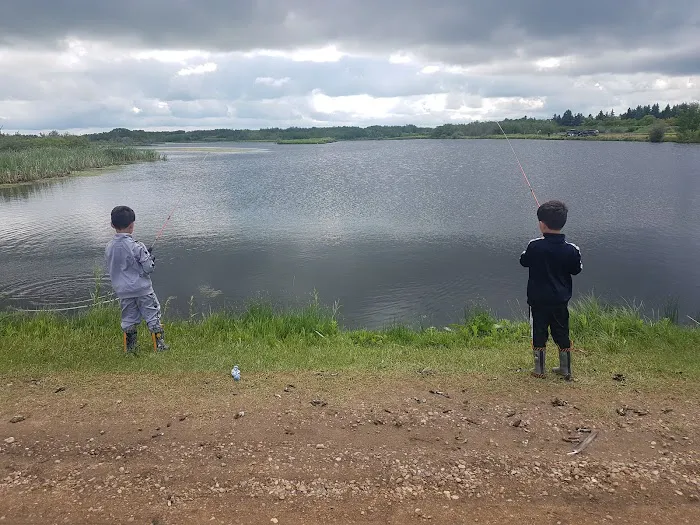 Black Nugget Lake Campground 2