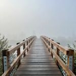 Saint Mary Campground, Glacier National Park