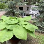 Pinegrove Campground & RV Park