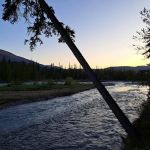 Waitabit Creek Campground