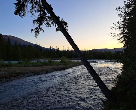 Waitabit Creek Campground