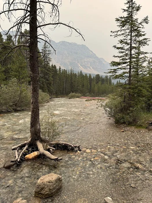 Mosquito Creek Campground 2