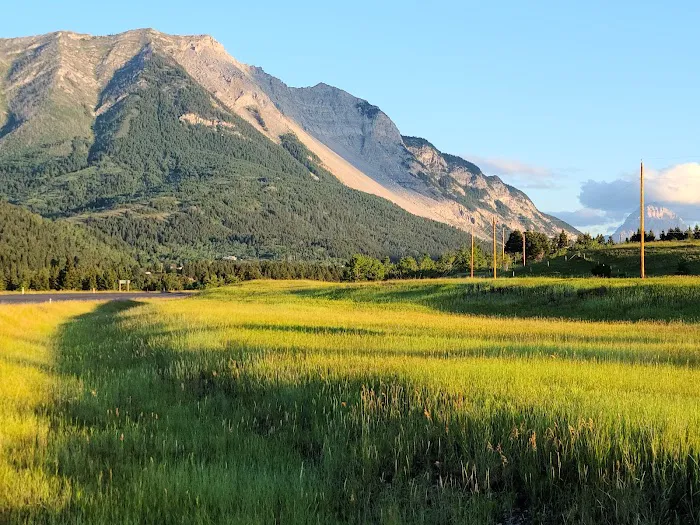 Crowsnest Pass Campground 7