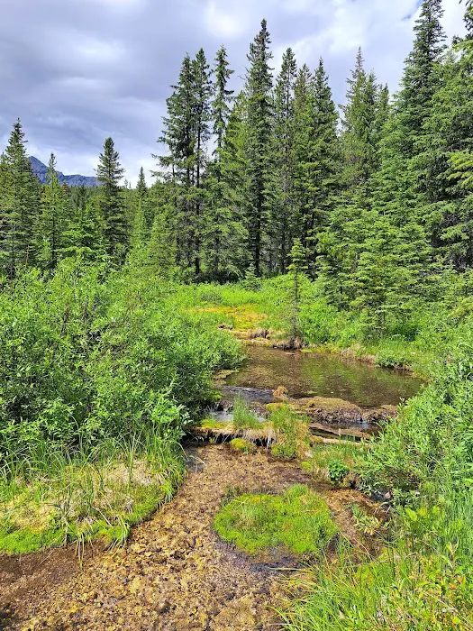 Chinook Provincial Recreation Area 5