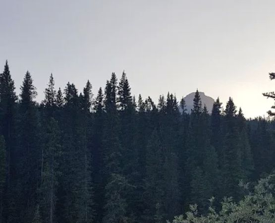 Waterfowl Lakes Campground