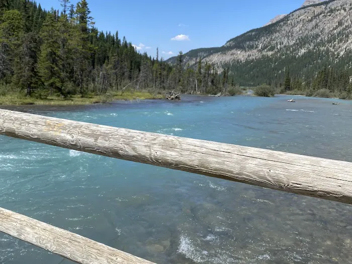 Waterfowl Lakes Campground 7