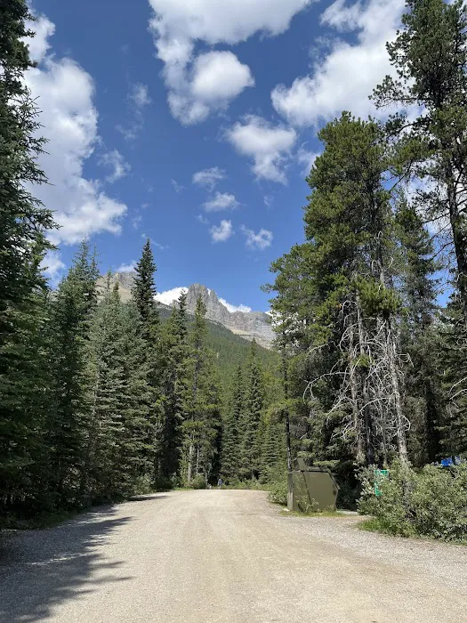 Waterfowl Lakes Campground 8