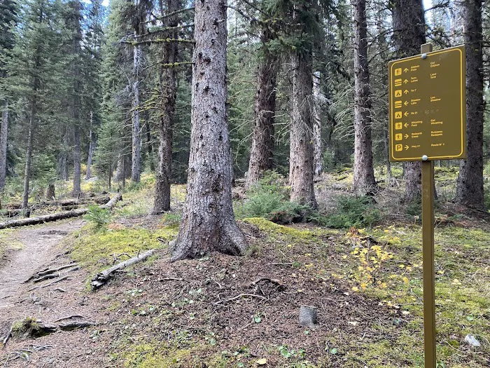 Shadow Lake Backcountry Campground Re14 2