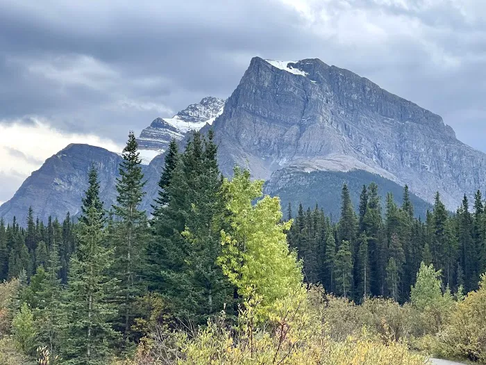 Silverhorn Creek Campground 7
