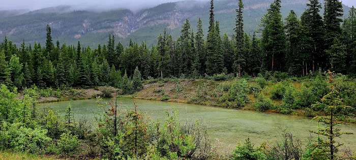 Silverhorn Creek Campground 3