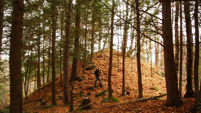 LeTerrain 4