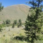 Corral Creek Canyon Camping