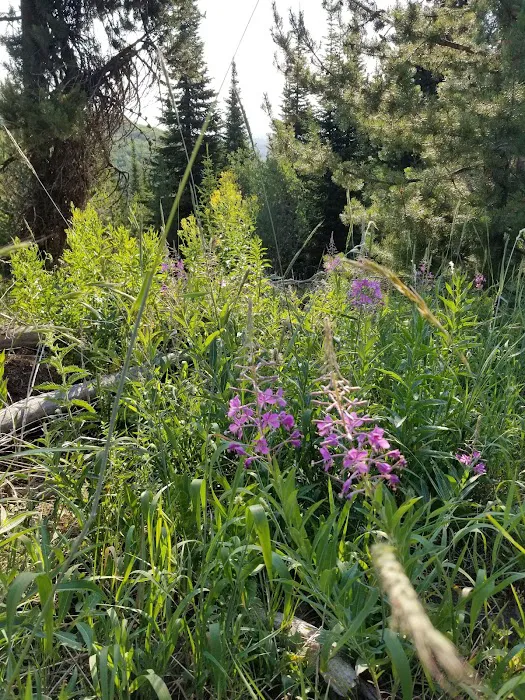 Porcupine Springs Campground 0