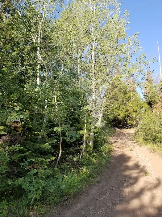 Porcupine Springs Campground 6