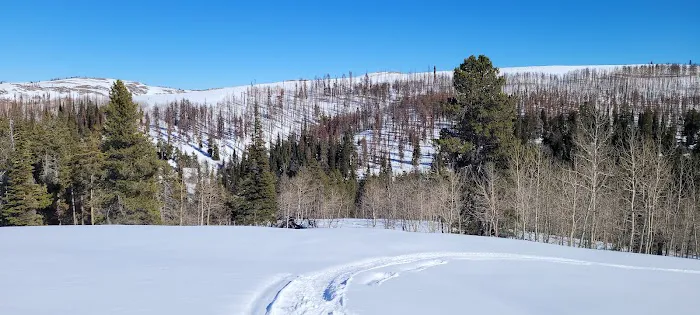 Porcupine Springs Campground 4