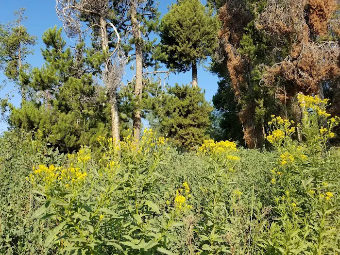 Porcupine Springs Campground 8