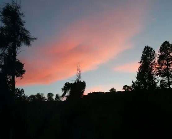 Bear Gulch Campground