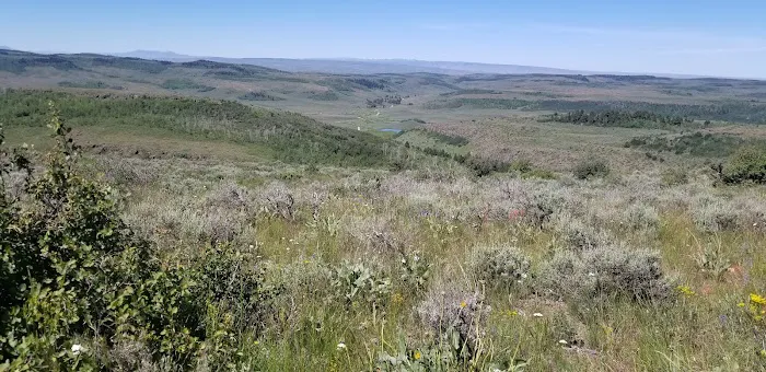 Bear Gulch Campground 1