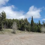 Diamondfield Jack Campground