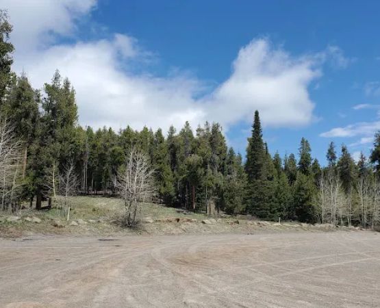 Diamondfield Jack Campground