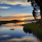 Cedar Bay Marina RV Park & Cafe