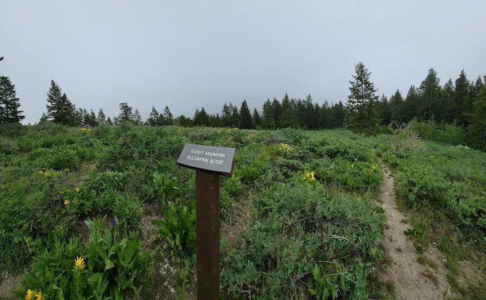 Scout Mountain Campground 2