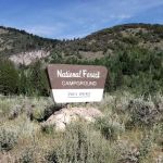 Paris Springs Campground