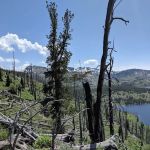 Payette National Forest