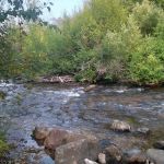 Davis Canyon Overflow Campground