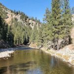 Willow Creek Campground (Idaho City)