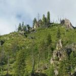 Queens River Campground