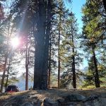 Elks Flat Campground