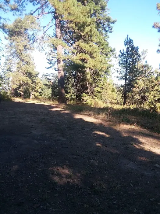 Mission Mountain Campground 3