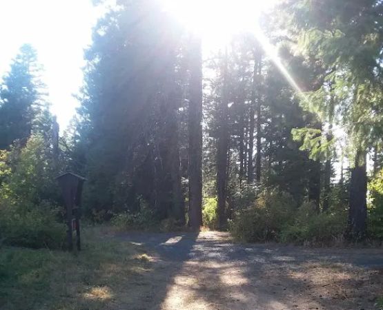 Mission Mountain Campground