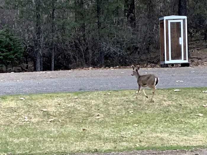 Freeman Creek Campground 7