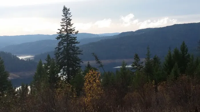 Freeman Creek Campground 1