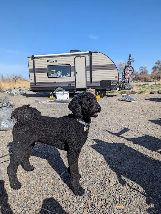 Cottonwood Campground 9