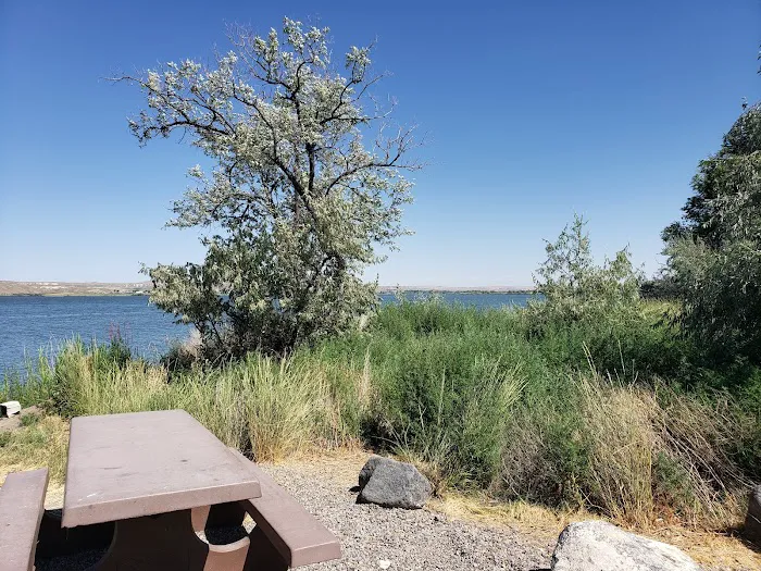 Cottonwood Campground 7