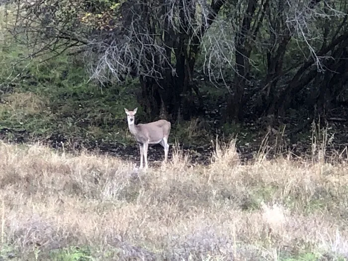 Pittsburg Campground 5