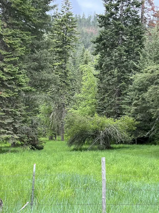 Pittsburg Campground 9